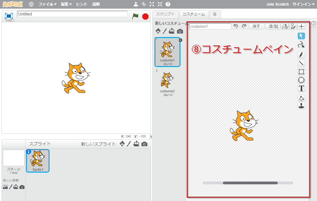コスチュームペイン